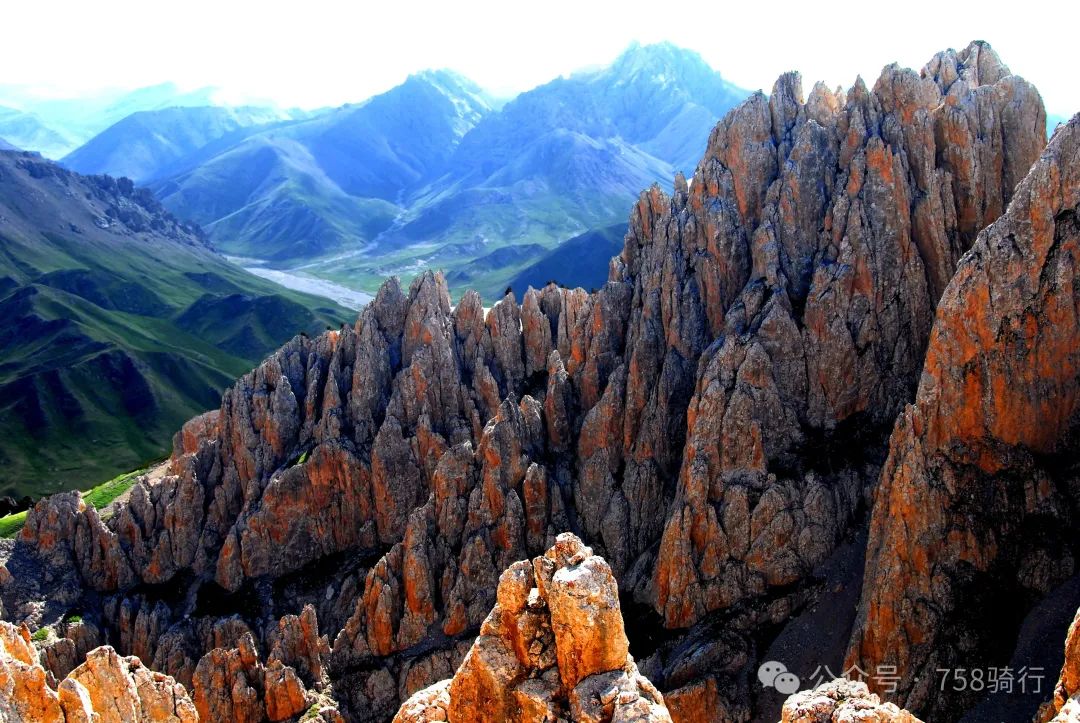 青海湖骑行 青海湖骑行